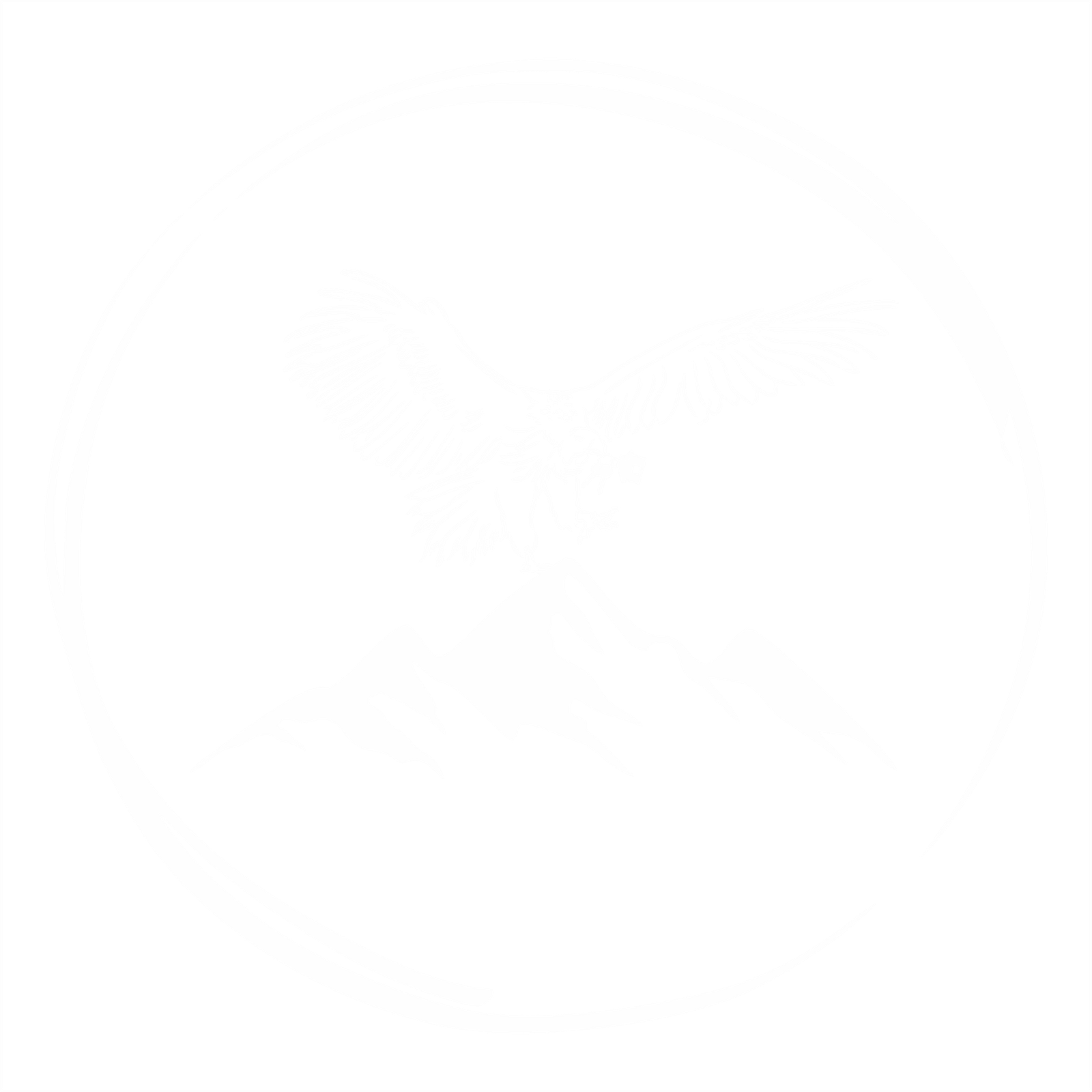 Condor Emprendimientos