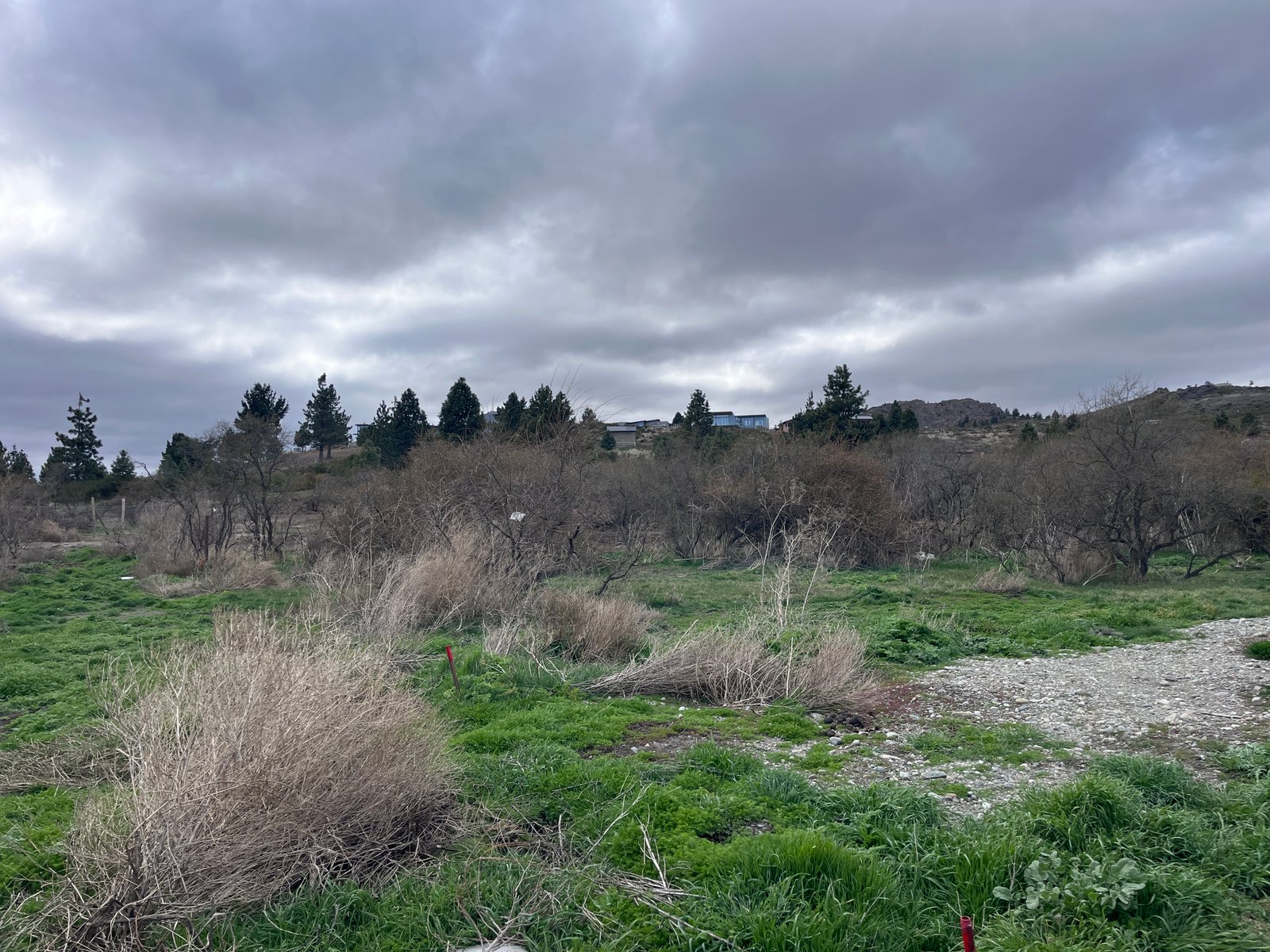 Lote en Dina Huapi 00-06